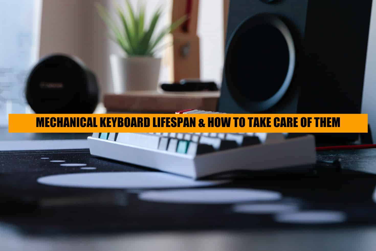 mechanical keyboard lifespan
