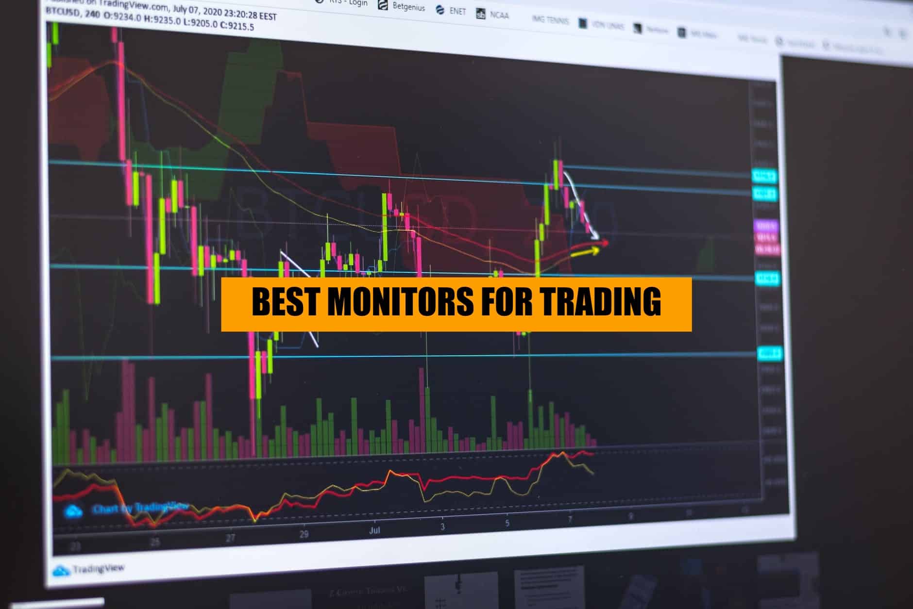 best trading monitors