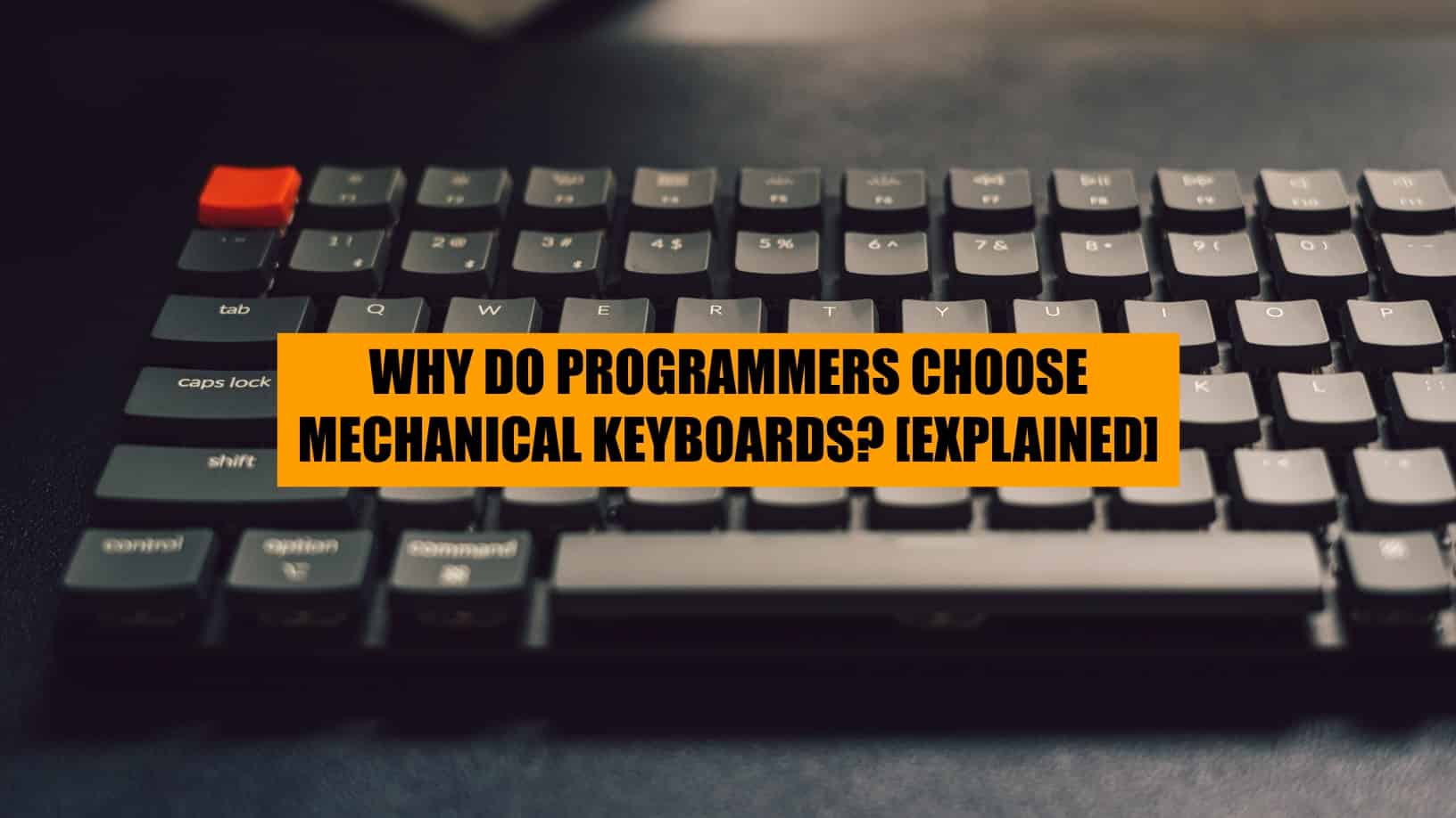 programmers and mechanical keyboards