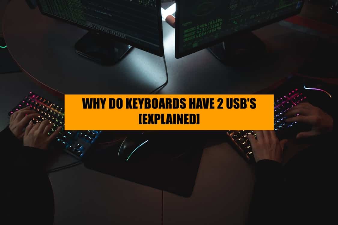why do keyboards have 2 usbs