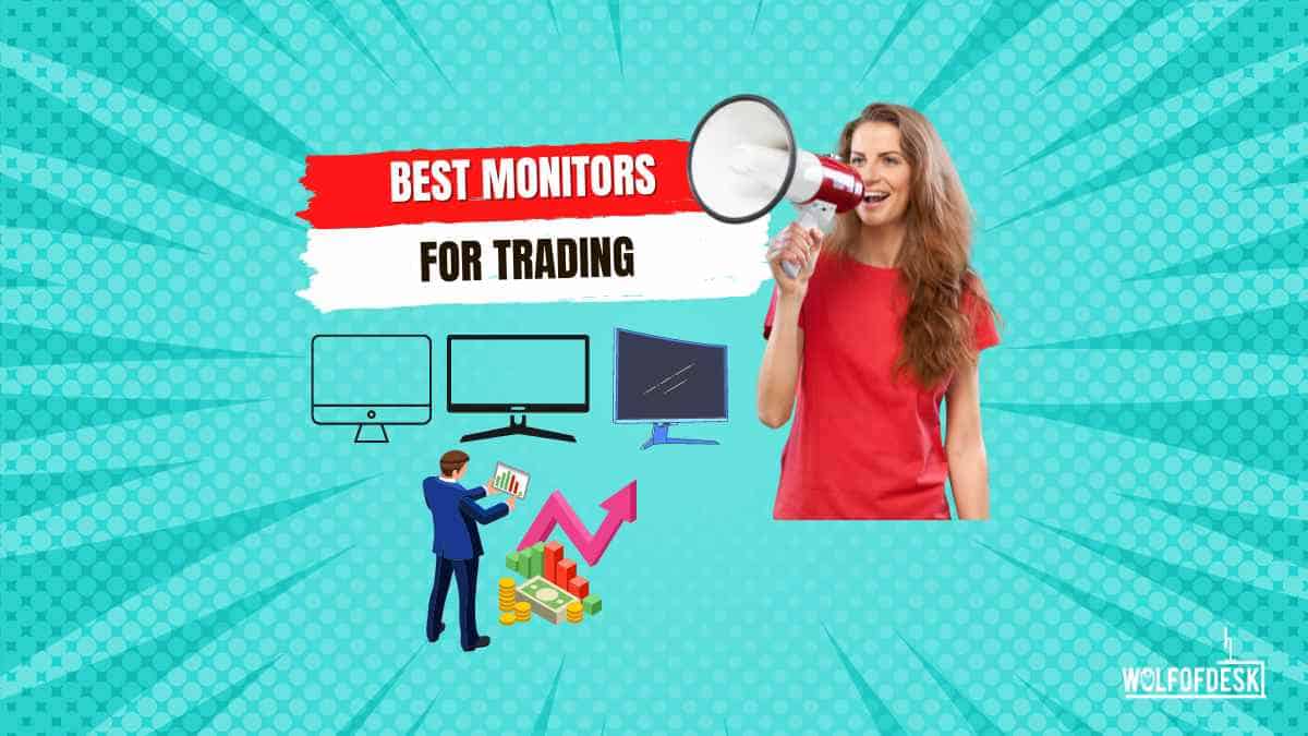 best monitors for trading the ultimate list