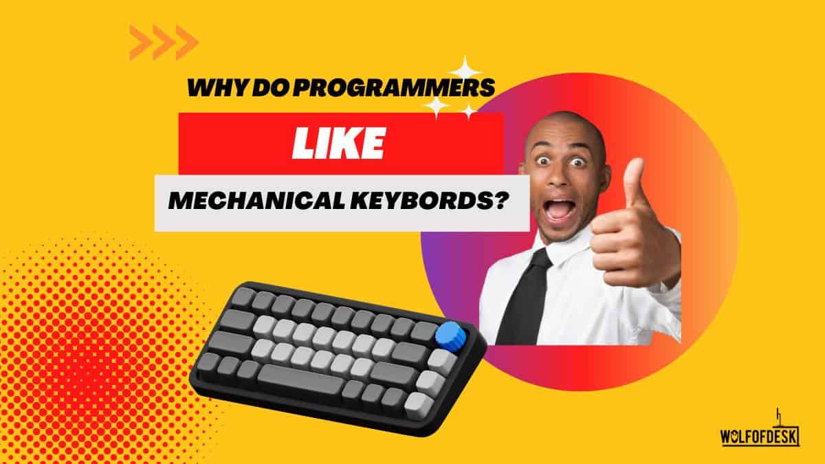 why do programmers choose mechanical keyboards